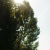 Impressionen