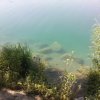 Impressionen