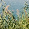 Impressionen